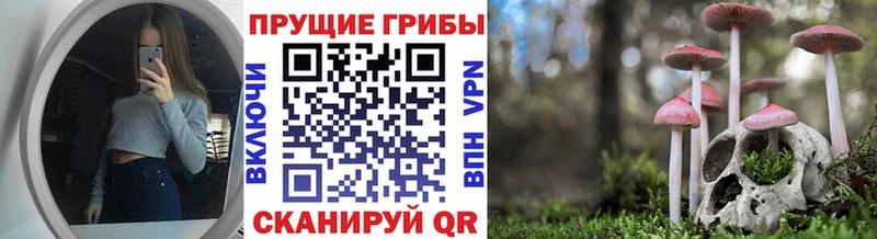 Галлюциногенные грибы мухоморы  купить наркотики цена  Окуловка 